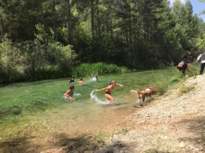 Casas Rurales Chon Alto Tajo